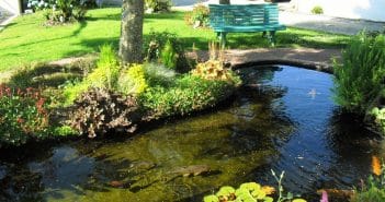 Comment faire une cascade dans son bassin ?