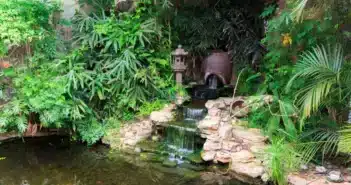 Comment créer un jardin écologique dans votre maison