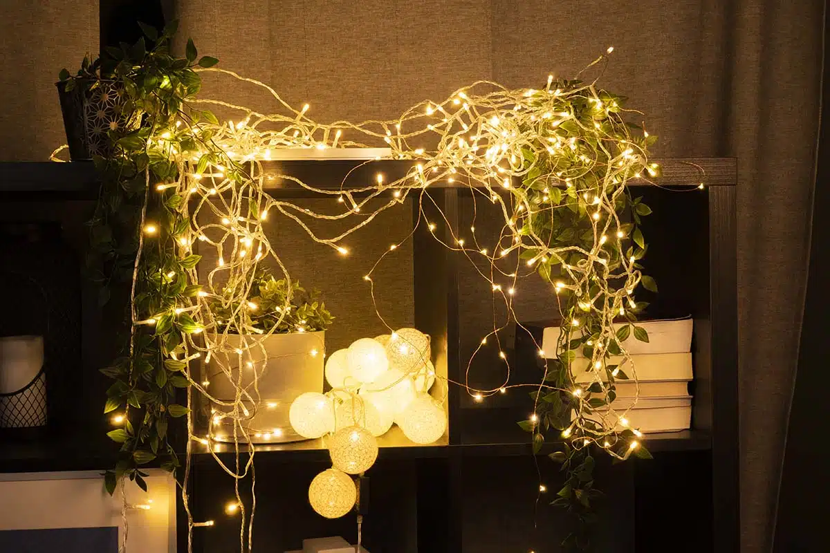 guirlandes lumineuses